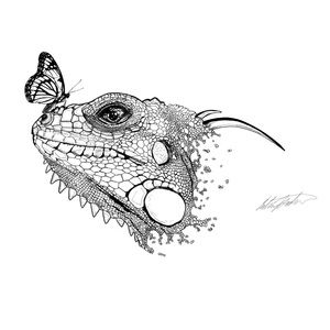 Meet your Posher, Calvin